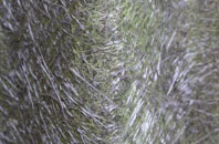 Portgordon fibreglass roof work